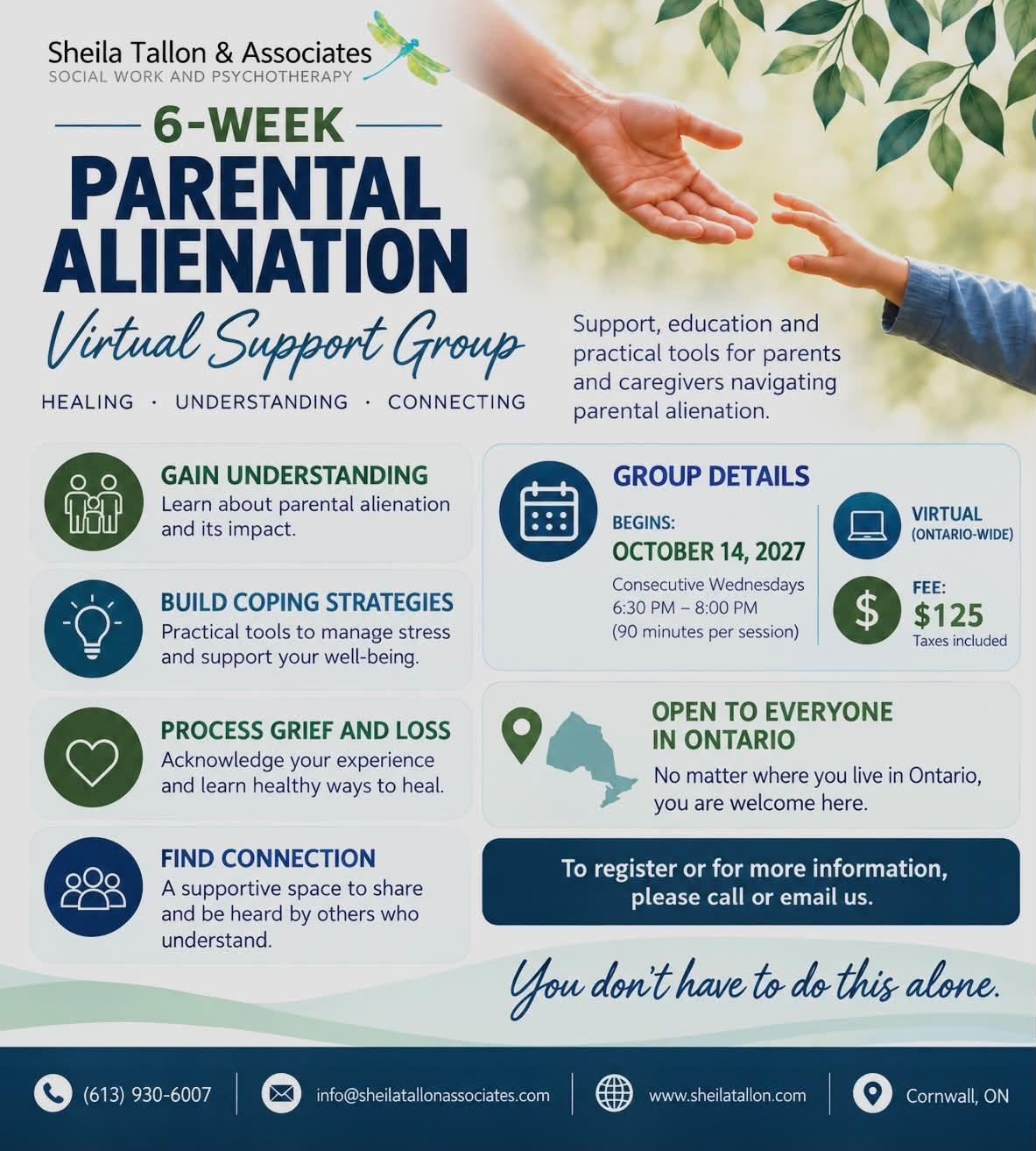 Flyer for the 6-Week Virtual Parental Alienation Support Group